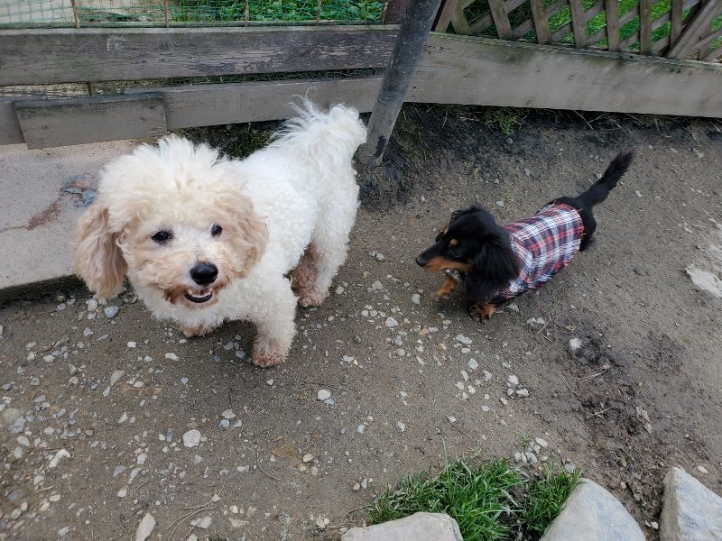 f:id:roukenhome-ann:20200321083312j:plain f:id:roukenhome-ann:20200321083312j:plain