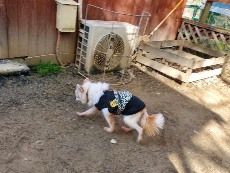 f:id:roukenhome-ann:20200321151810j:plain f:id:roukenhome-ann:20200321151810j:plain