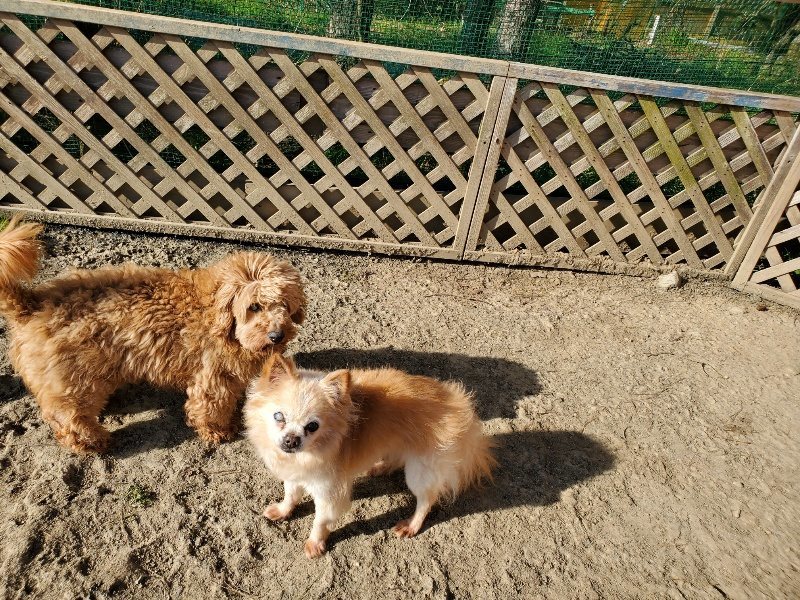 f:id:roukenhome-ann:20200323153228j:plain