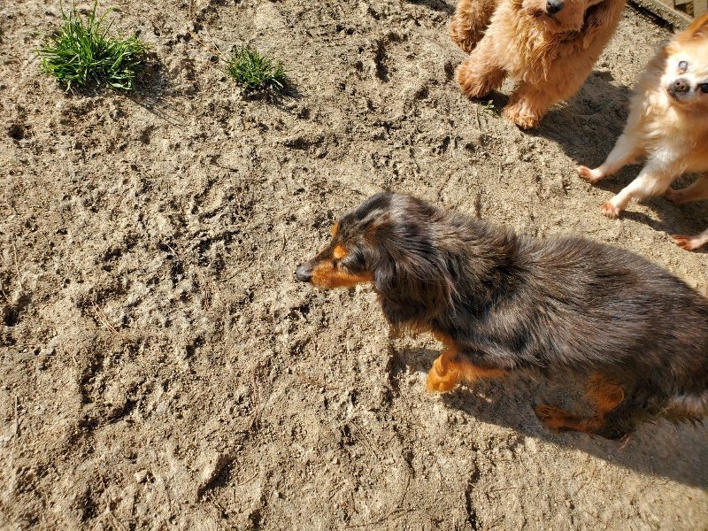 f:id:roukenhome-ann:20200323153233j:plain