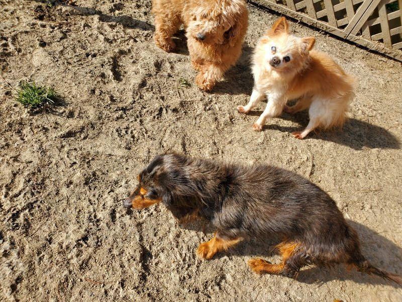 f:id:roukenhome-ann:20200323153240j:plain