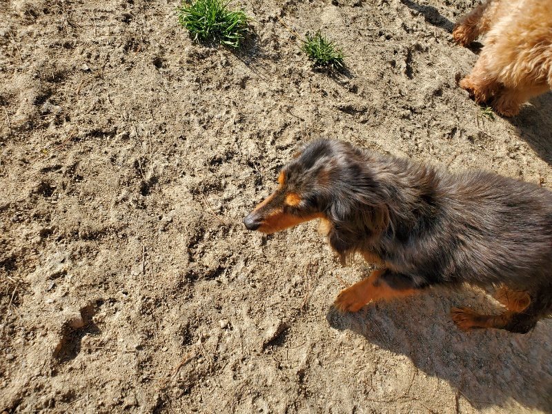 f:id:roukenhome-ann:20200323153245j:plain