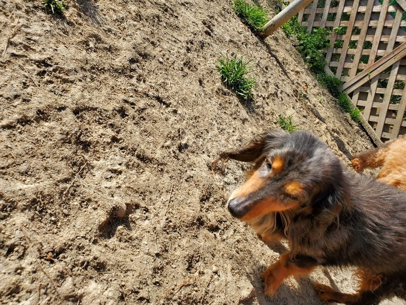 f:id:roukenhome-ann:20200323153251j:plain