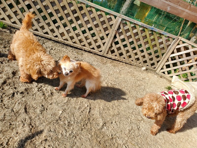 f:id:roukenhome-ann:20200323153257j:plain