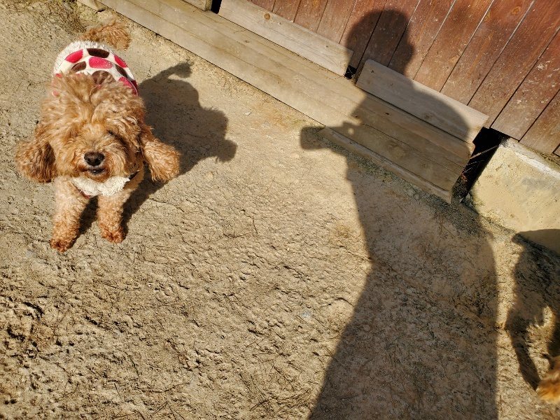 f:id:roukenhome-ann:20200323153302j:plain