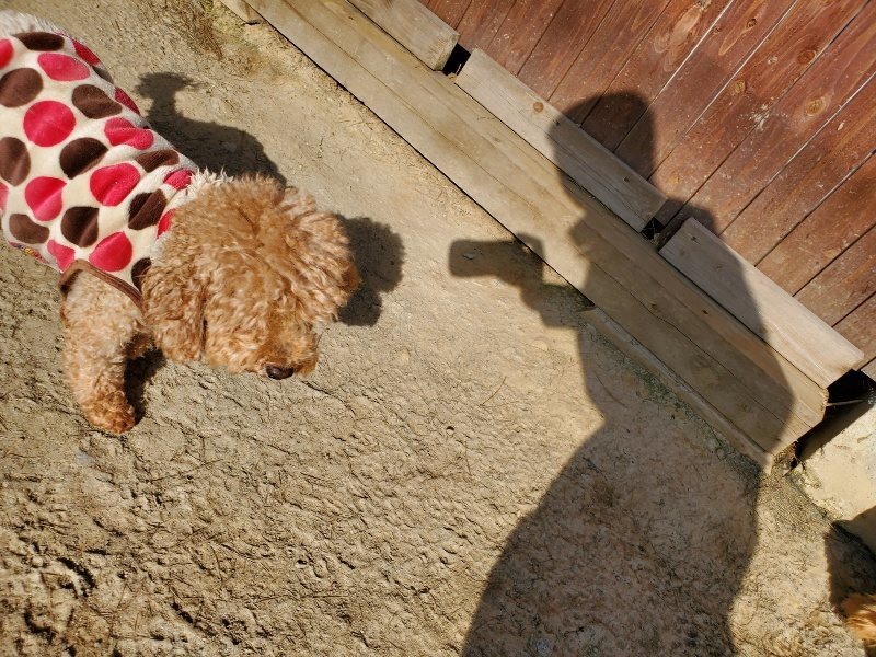 f:id:roukenhome-ann:20200323153307j:plain