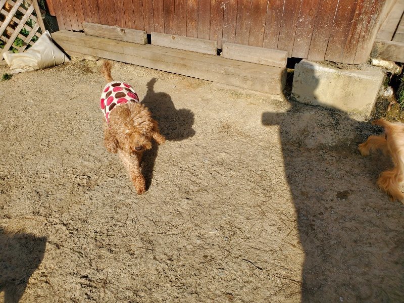 f:id:roukenhome-ann:20200323153313j:plain