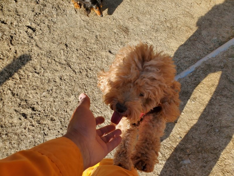 f:id:roukenhome-ann:20200323153319j:plain