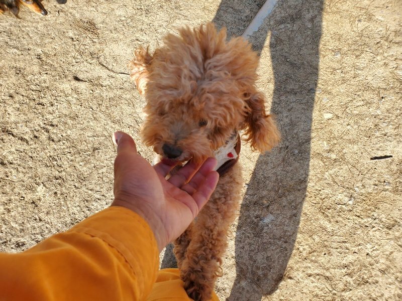 f:id:roukenhome-ann:20200323153324j:plain