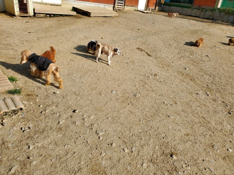 f:id:roukenhome-ann:20200323153336j:plain