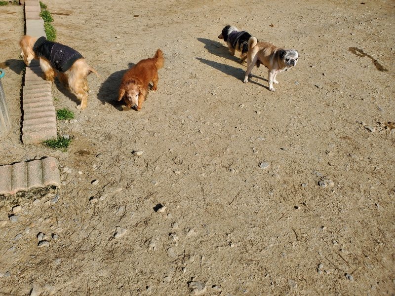 f:id:roukenhome-ann:20200323153341j:plain