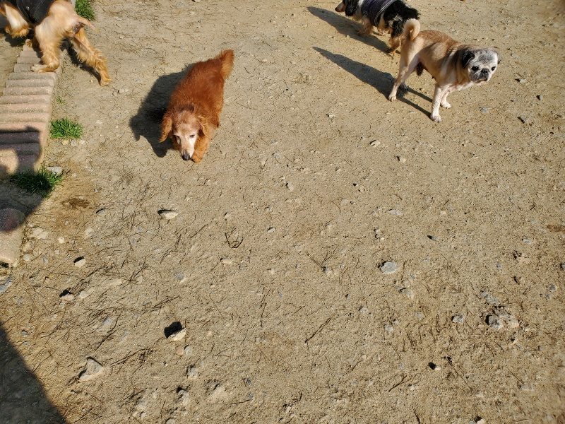 f:id:roukenhome-ann:20200323153352j:plain