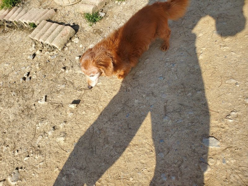 f:id:roukenhome-ann:20200323153359j:plain