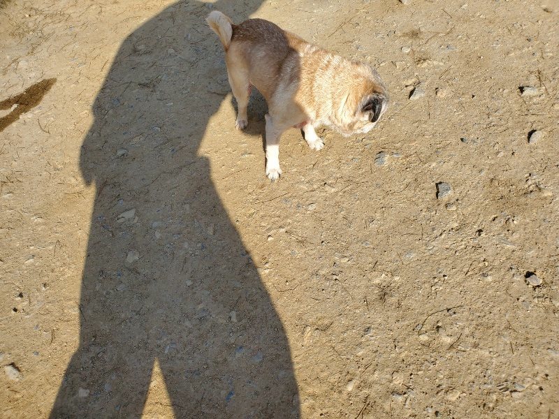 f:id:roukenhome-ann:20200323153409j:plain