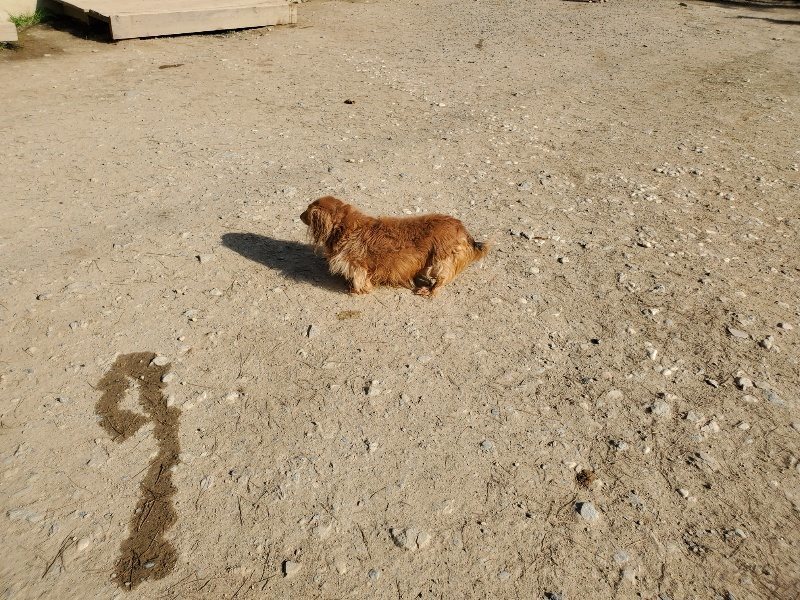 f:id:roukenhome-ann:20200323153415j:plain