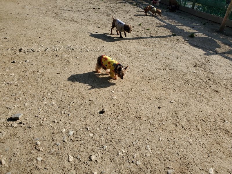 f:id:roukenhome-ann:20200323153421j:plain