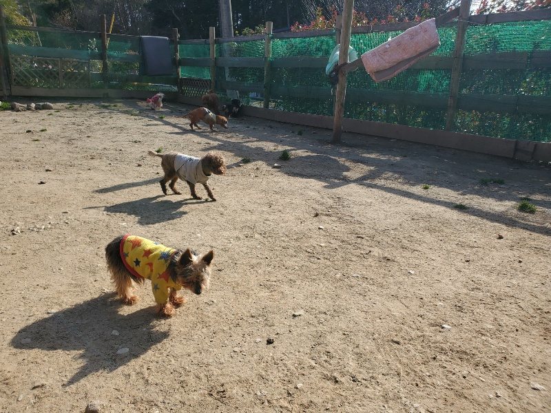 f:id:roukenhome-ann:20200323153427j:plain