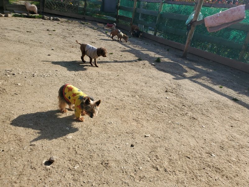 f:id:roukenhome-ann:20200323153434j:plain