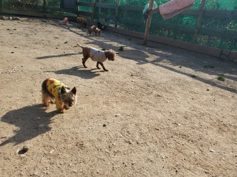 f:id:roukenhome-ann:20200323153439j:plain