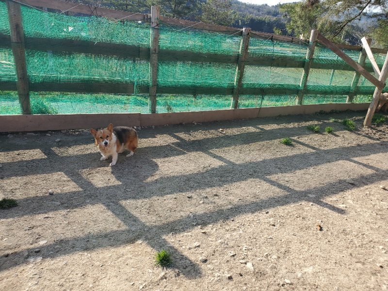 f:id:roukenhome-ann:20200323153444j:plain