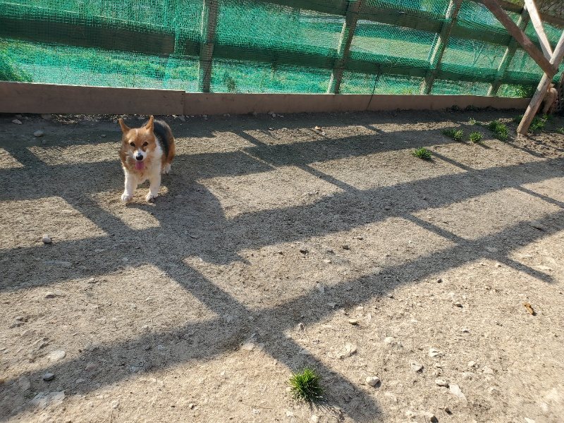 f:id:roukenhome-ann:20200323153635j:plain