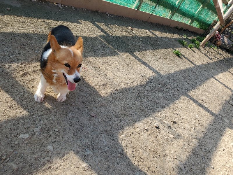 f:id:roukenhome-ann:20200323153640j:plain