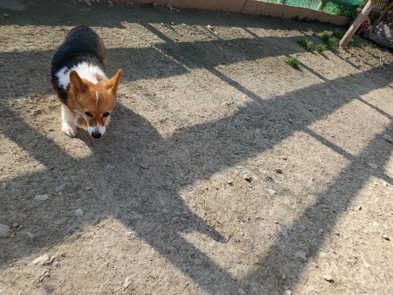 f:id:roukenhome-ann:20200323153646j:plain