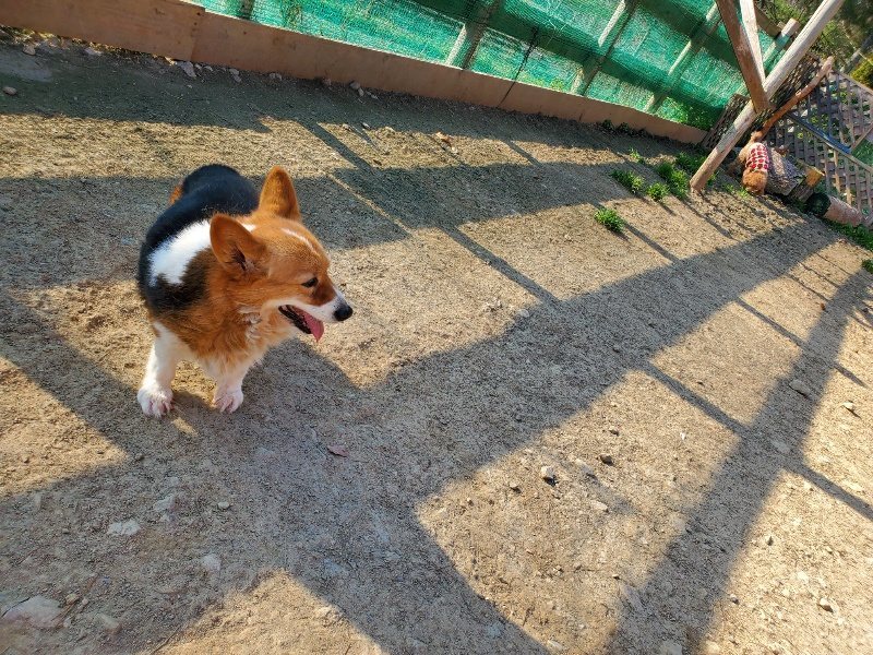 f:id:roukenhome-ann:20200323153653j:plain