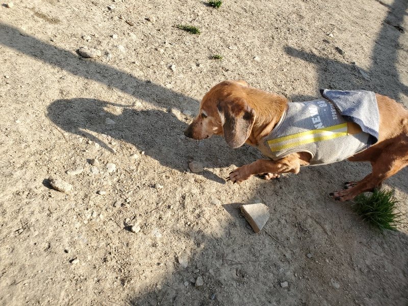 f:id:roukenhome-ann:20200323153705j:plain