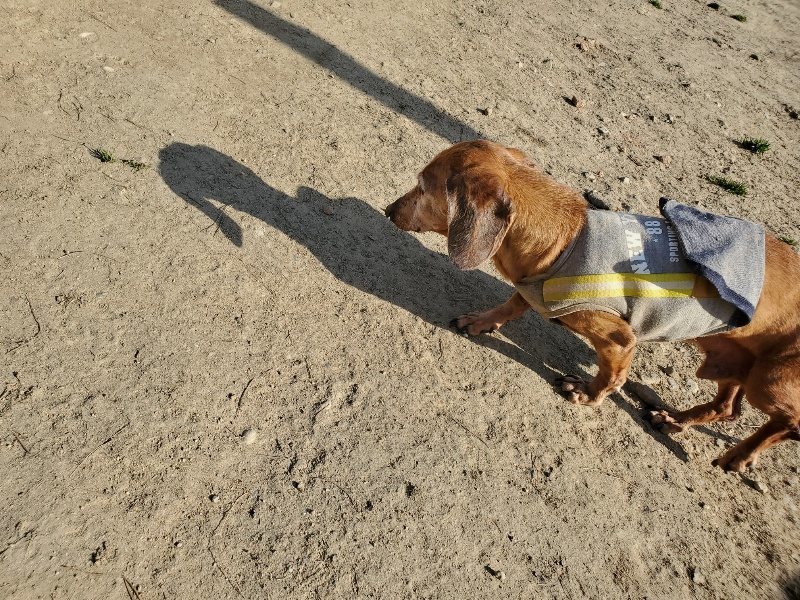 f:id:roukenhome-ann:20200323153710j:plain