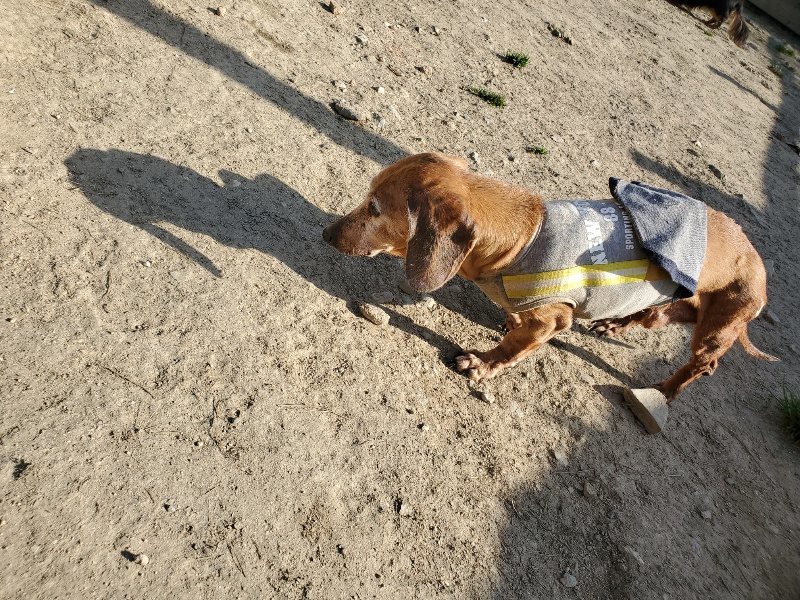 f:id:roukenhome-ann:20200323153716j:plain