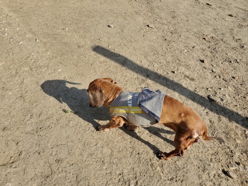 f:id:roukenhome-ann:20200323153722j:plain