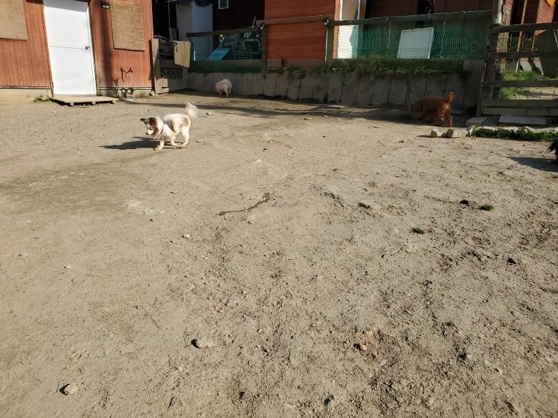 f:id:roukenhome-ann:20200323153729j:plain