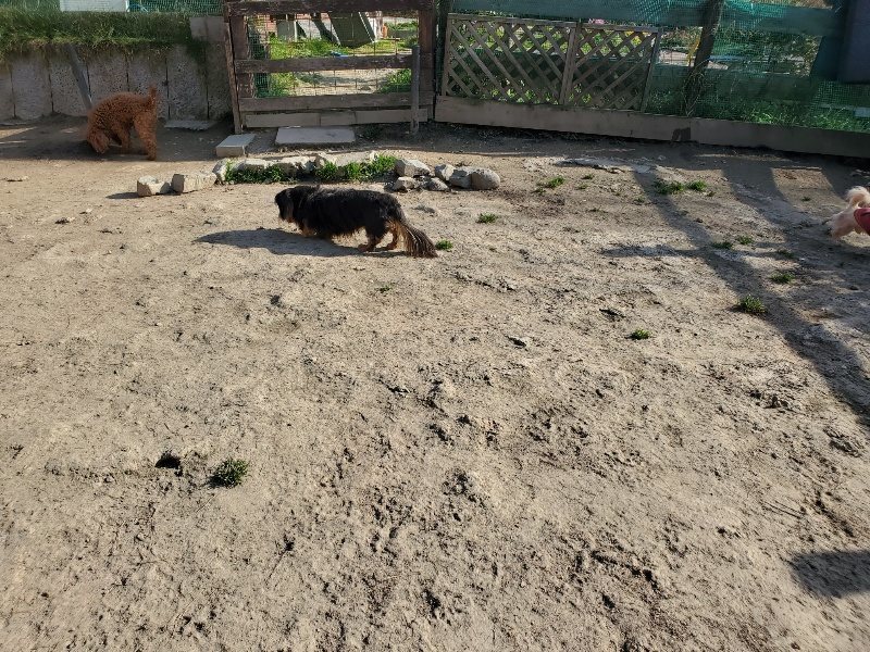 f:id:roukenhome-ann:20200323153735j:plain