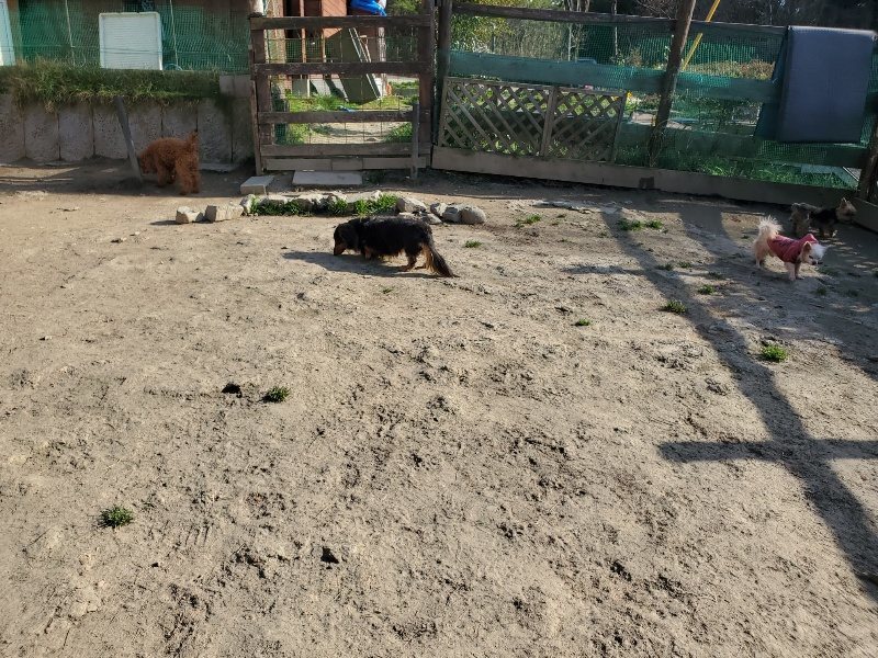 f:id:roukenhome-ann:20200323153741j:plain