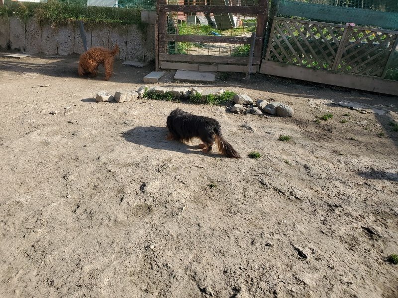 f:id:roukenhome-ann:20200323153746j:plain