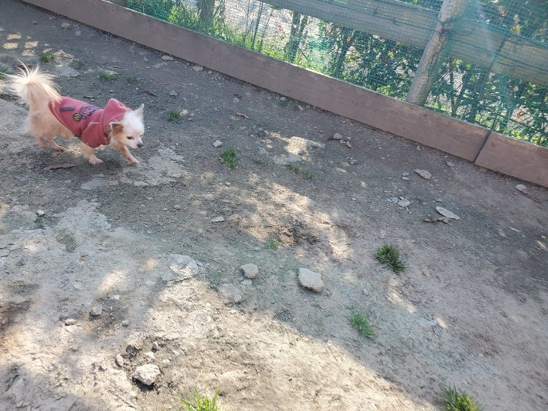 f:id:roukenhome-ann:20200323153751j:plain