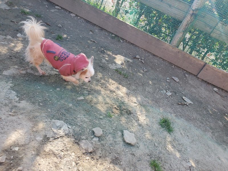 f:id:roukenhome-ann:20200323153757j:plain