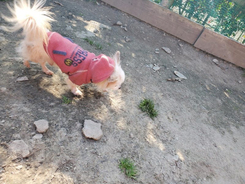 f:id:roukenhome-ann:20200323153803j:plain