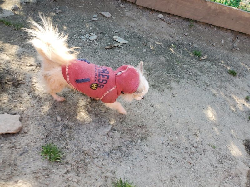 f:id:roukenhome-ann:20200323153808j:plain