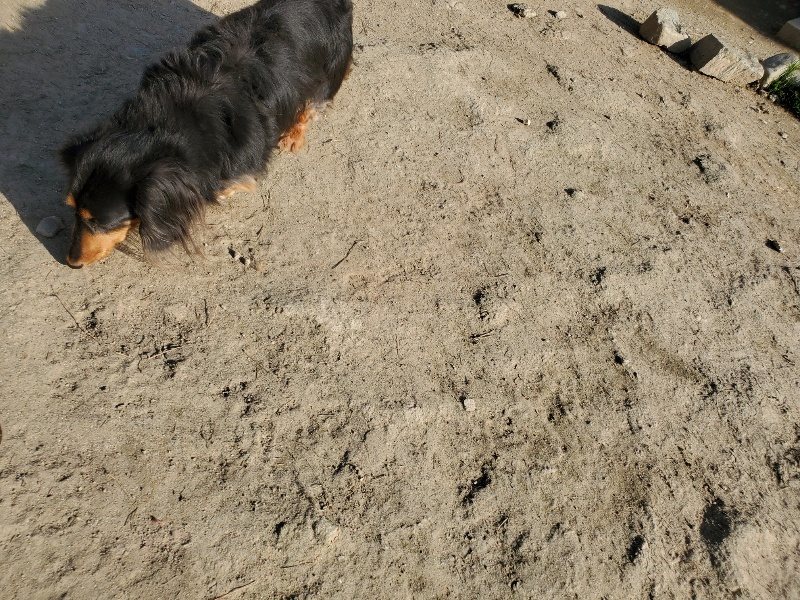 f:id:roukenhome-ann:20200323153820j:plain