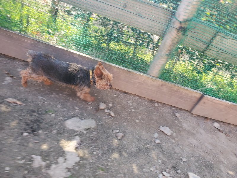 f:id:roukenhome-ann:20200323153825j:plain