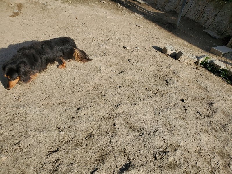 f:id:roukenhome-ann:20200323153831j:plain