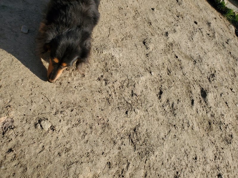 f:id:roukenhome-ann:20200323153839j:plain