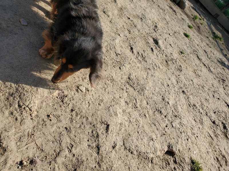 f:id:roukenhome-ann:20200323153845j:plain