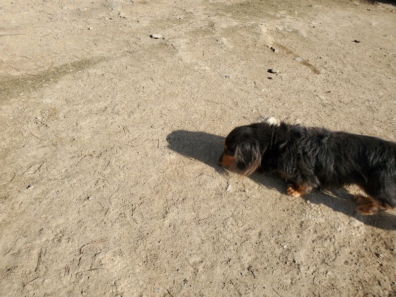 f:id:roukenhome-ann:20200323153852j:plain