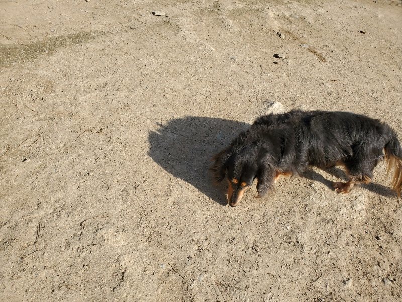 f:id:roukenhome-ann:20200323153902j:plain