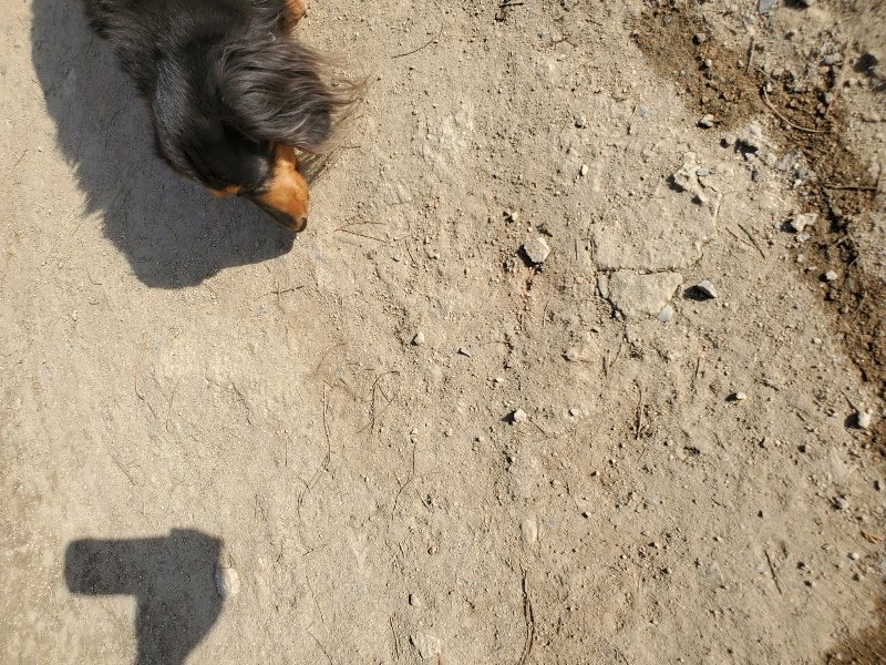 f:id:roukenhome-ann:20200323153908j:plain