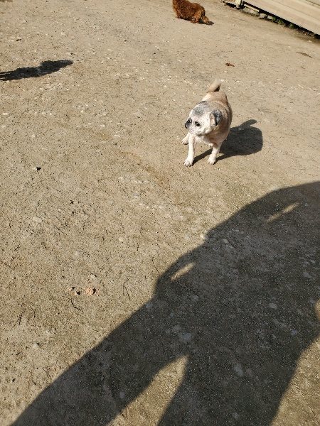 f:id:roukenhome-ann:20200323153913j:plain