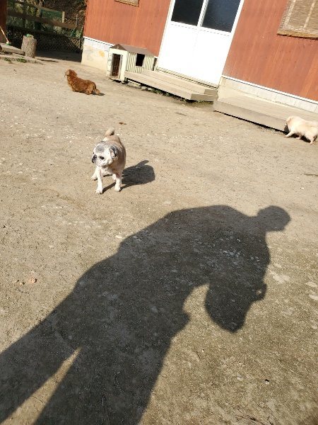 f:id:roukenhome-ann:20200323153917j:plain